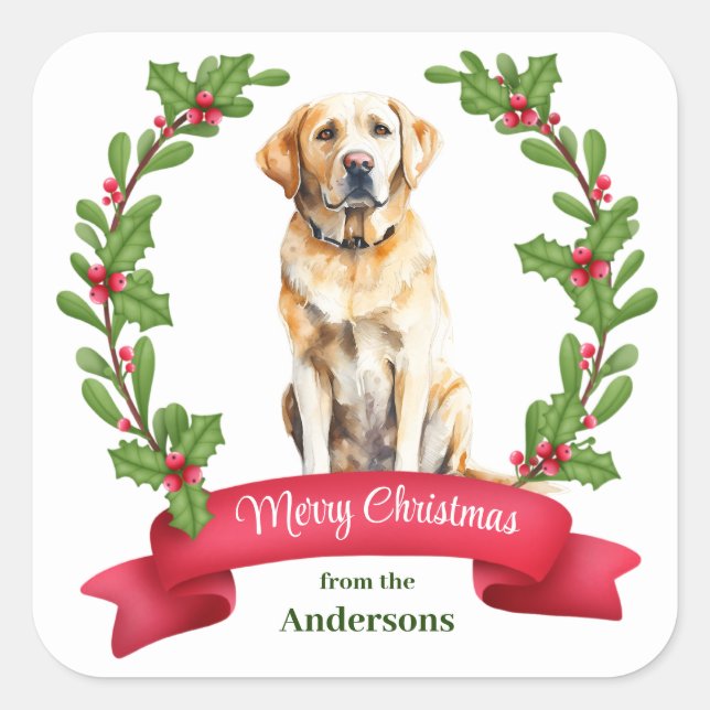 Pegatina Cuadrada Holly Banner Yellow Labrador Retriever Navidades (Anverso)