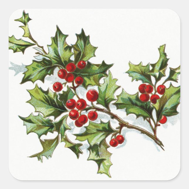Pegatina Cuadrada HollyBerries20150802 (Anverso)