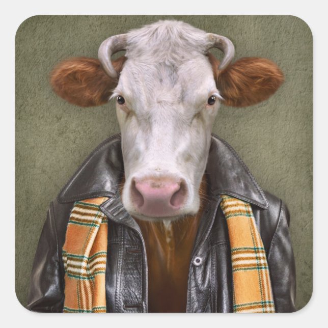 Pegatina Cuadrada Hombre de vaca (Anverso)
