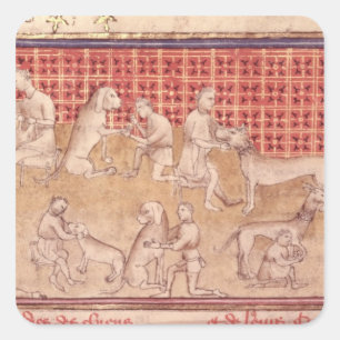 Pegatina Cuadrada Hombres cuidando de perros cazadores