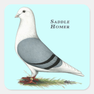 Pegatina Cuadrada Homer Blue Saddle
