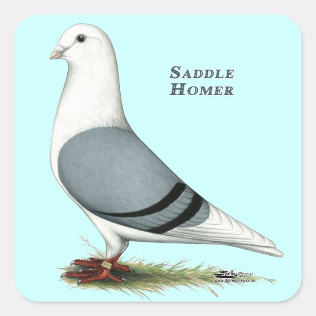 Pegatina Cuadrada Homer Blue Saddle (Anverso)