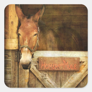Pegatina Cuadrada Homer the Mule