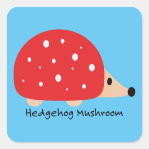 Pegatina Cuadrada Hongo hedgehog lindo y gracioso