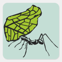 Hormiga de filo de hoja naturaleza Stencil