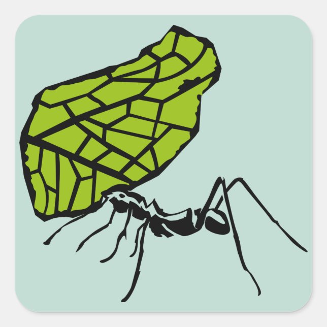 Pegatina Cuadrada Hormiga de filo de hoja naturaleza Stencil (Anverso)