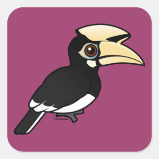 Pegatina Cuadrada Hornbill oriental