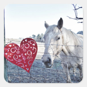 Pegatina Cuadrada HORSE Valentine