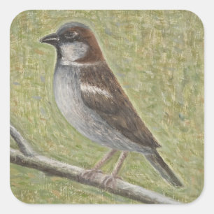 Pegatina Cuadrada House Sparrow 2008