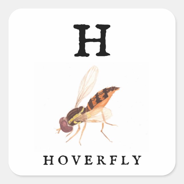 Pegatina Cuadrada Hoverfly (Anverso)
