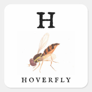 Pegatina Cuadrada Hoverfly