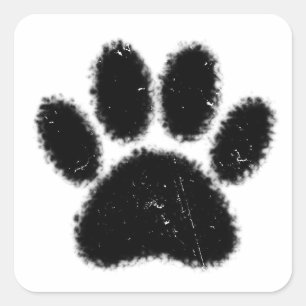 Pegatina Cuadrada Huella de pata de perro áspera y desgastada