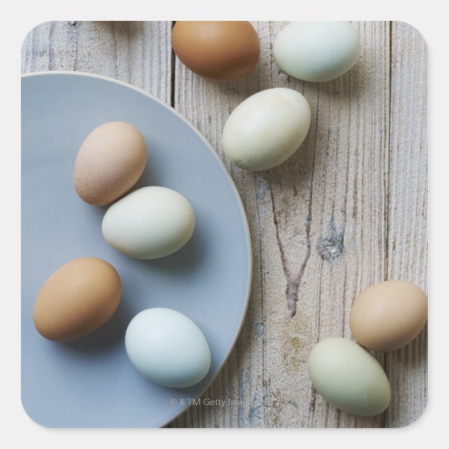 Pegatina Cuadrada Huevos enteros (Anverso)