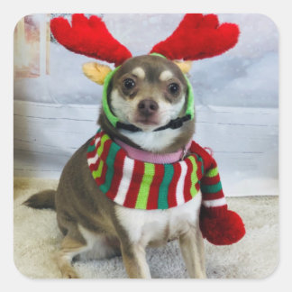 Pegatina Cuadrada Huey Holiday Fail