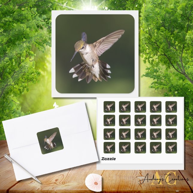 Pegatina Cuadrada Hummingbird (Subido por el creador)