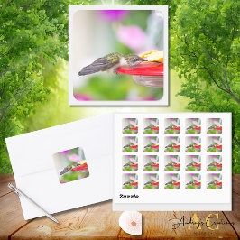 Pegatina Cuadrada Hummingbird Design #0624
