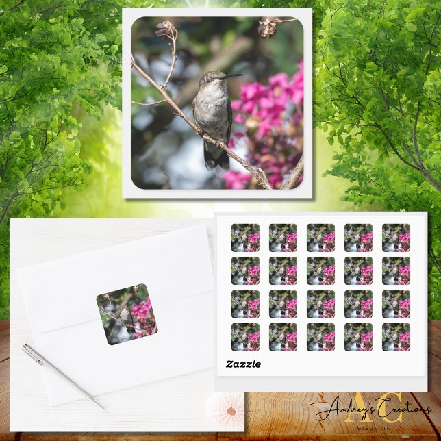 Pegatina Cuadrada Hummingbird Design #8354 (Subido por el creador)