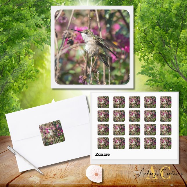 Pegatina Cuadrada Hummingbird Design #8401 (Subido por el creador)