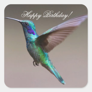Pegatina Cuadrada Hummingbird feliz cumpleaños
