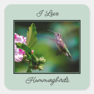 Pegatina Cuadrada Hummingbird - Fotografía original