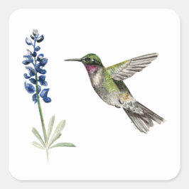 Pegatina Cuadrada Hummingbird y Bluebonnet