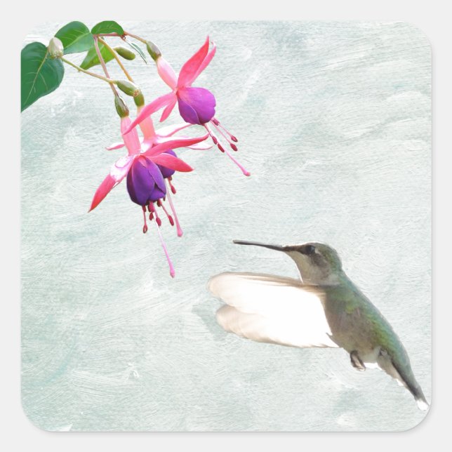 Pegatina Cuadrada Hummingbird y Fuschia (Anverso)