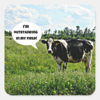Humor de vaca