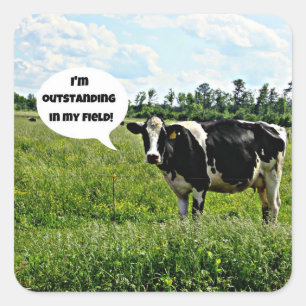 Pegatina Cuadrada Humor de vaca