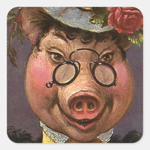 Pegatina Cuadrada Humor vintage, tonto y gracioso cerdo victoriano