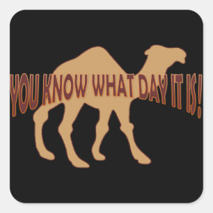 PEGATINA CUADRADA HUMP DAY HUMP DAY CAMEL