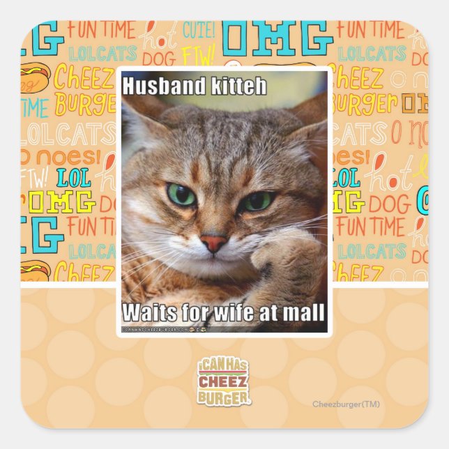 Pegatina Cuadrada Husband Kitteh (Anverso)