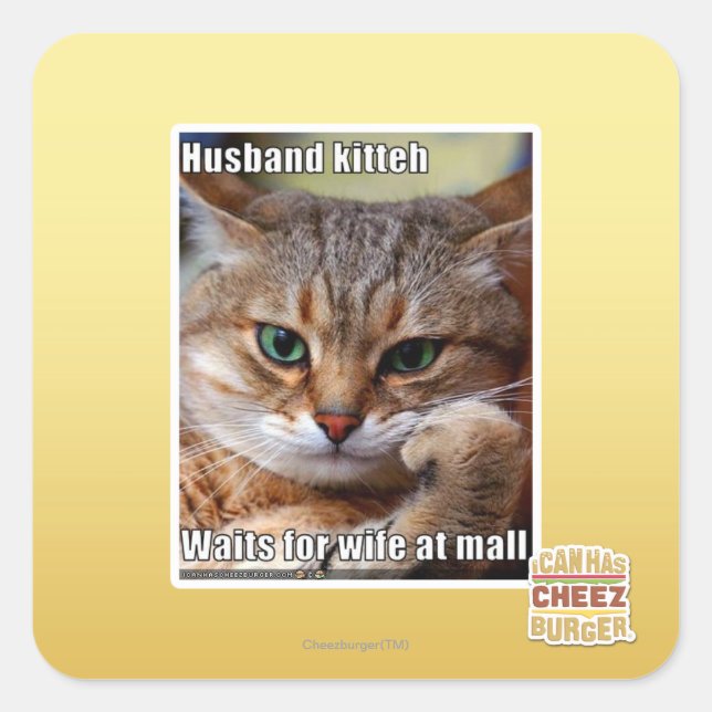 Pegatina Cuadrada Husband Kitteh (Anverso)