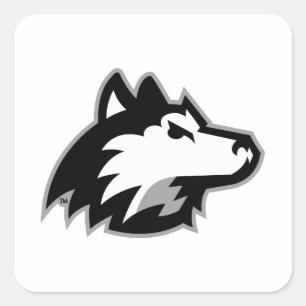 Pegatina Cuadrada Huskies del norte de Illinois