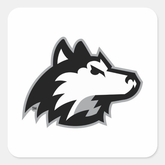 Pegatina Cuadrada Huskies del norte de Illinois (Anverso)