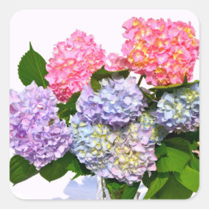 Pegatina Cuadrada Hydrangea Bouquet