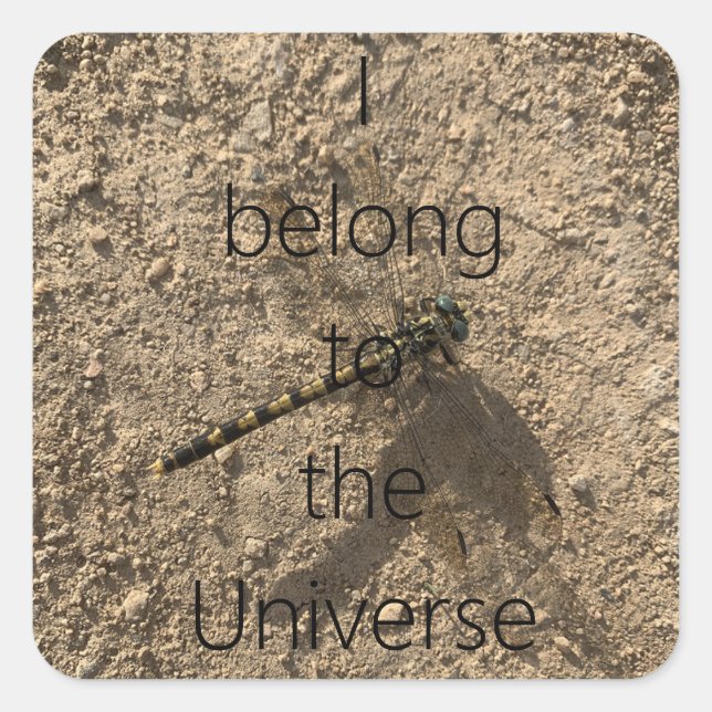 Pegatina Cuadrada I belong to the Universe - Sticker (Anverso)