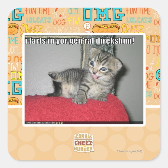 Pegatina Cuadrada I farts en direkshun gen'ral del yor (Anverso)