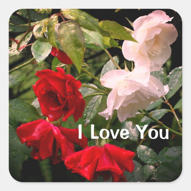 Pegatina Cuadrada I Love You Drenched Roses Floral (Anverso)
