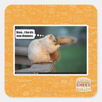 I nuevo champú del luv SID