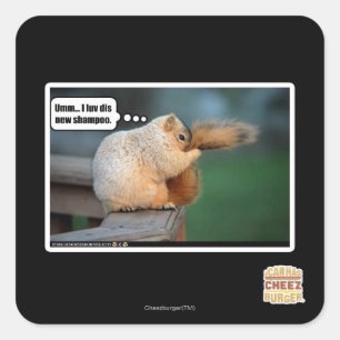 Pegatina Cuadrada I nuevo champú del luv SID