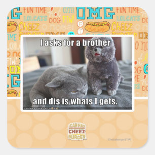 Pegatina Cuadrada I pide un hermano