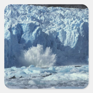 Pegatina Cuadrada Iceberg recién parido salpicando en aguas frías