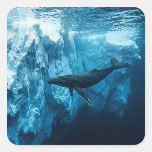 Pegatina Cuadrada Iceberg submarino y una ballena jorobada