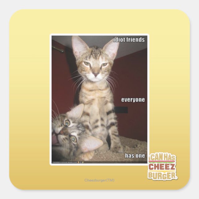 Pegatina Cuadrada Idiotas amigos (Anverso)