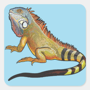 Pegatina Cuadrada iguana verde