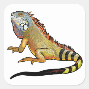 Pegatina Cuadrada iguana verde
