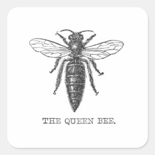 Pegatina Cuadrada Ilustración antigua de insecto bug abeja reina