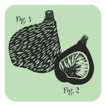 Ilustración científica divertida de higo