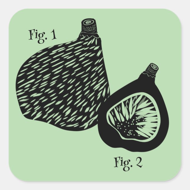 Pegatina Cuadrada Ilustración científica divertida de higo (Anverso)