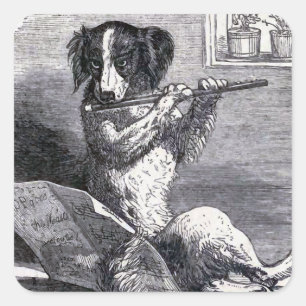 Pegatina Cuadrada ilustracion de época "Perro jugando a la flauta"
